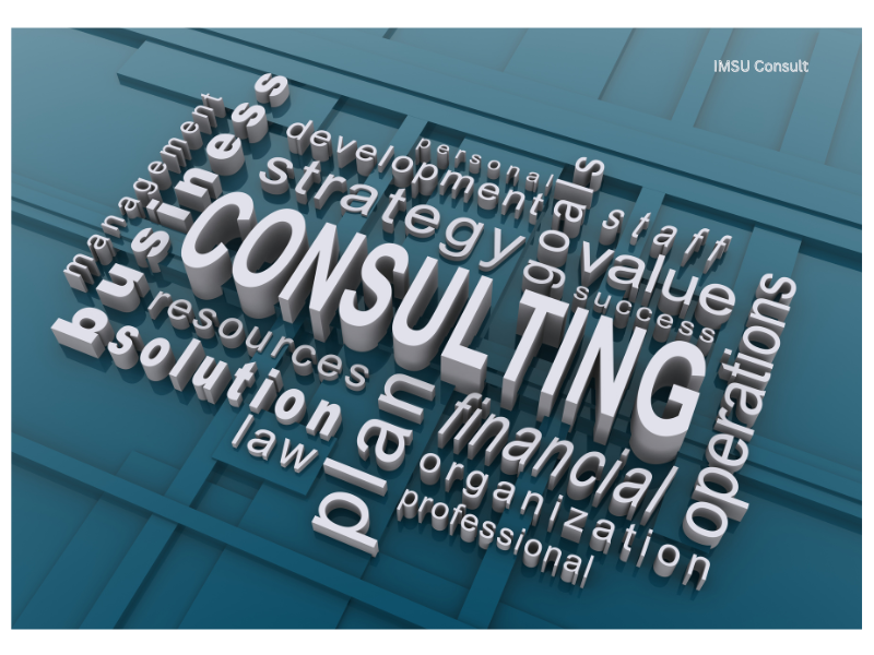 Business Consultancy